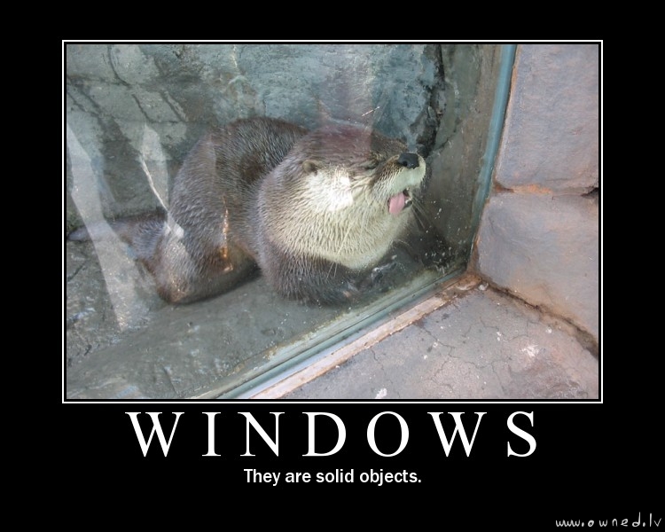 Windows