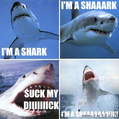 Im a shaaark !