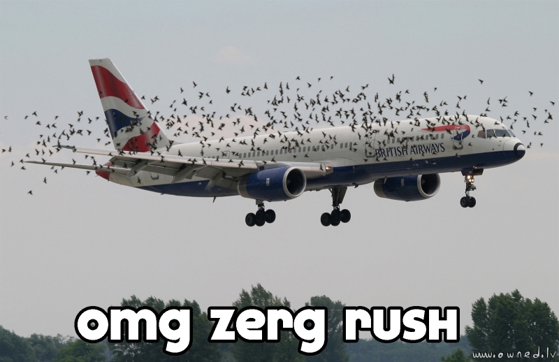 OMG Zerg rush !!!