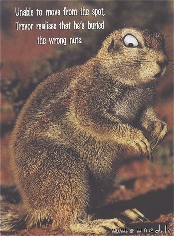 Wrong nuts