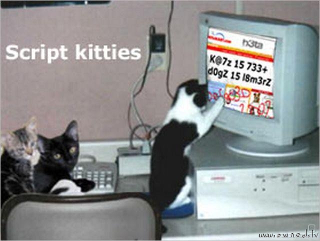 Script kitties