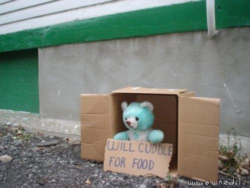 Teddy bear - Will cuddle for food