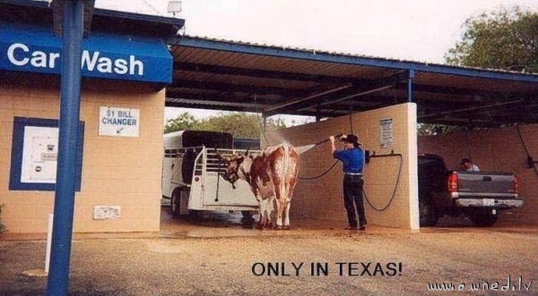 Only in texas