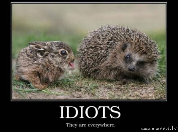 Idiots