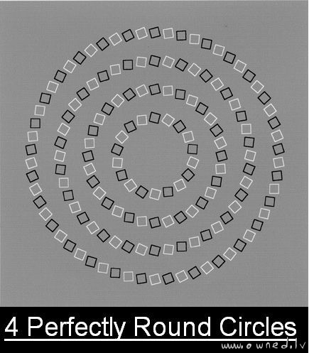 4 perfectly round circles