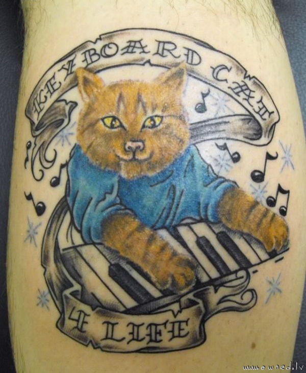 Keyboard cat 4 life