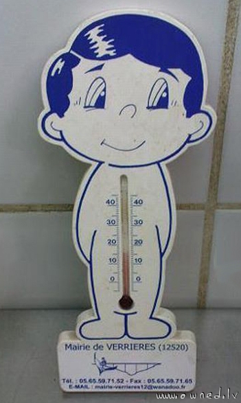 A thermometer