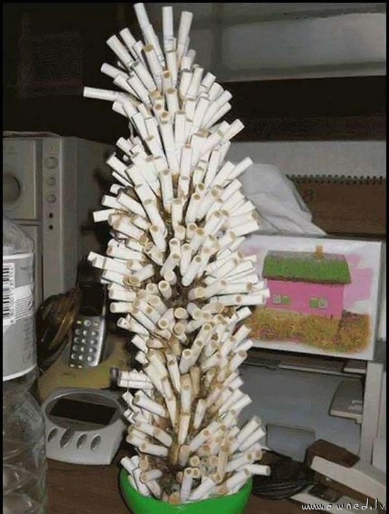 Cigarette tree