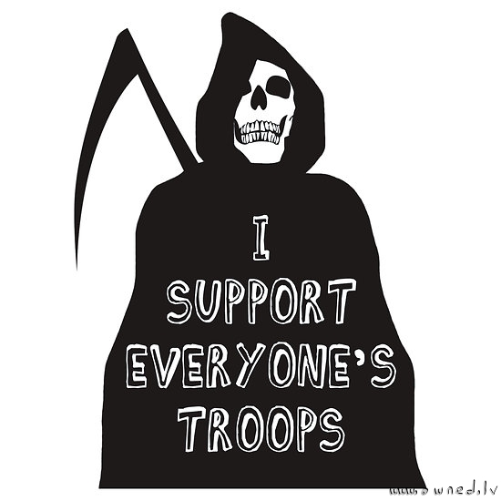 I support everyones troops