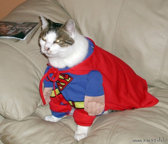 Supercat