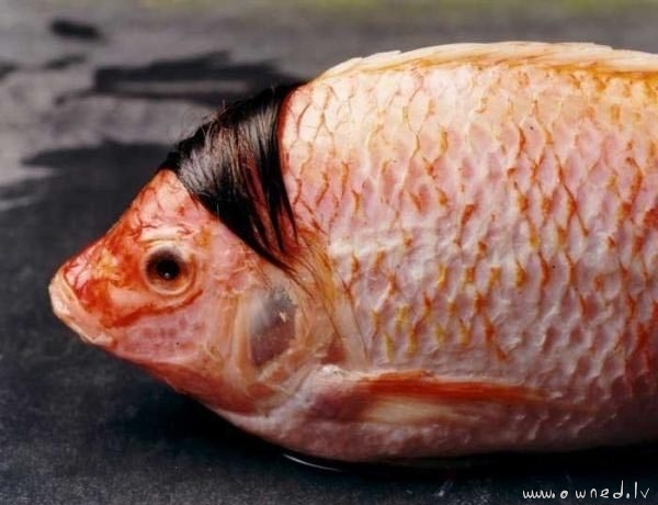 Emo fish