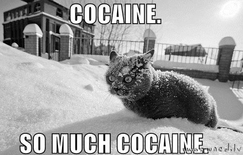 So much cocaine