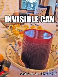 Invisible can