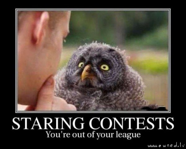 Staring contests