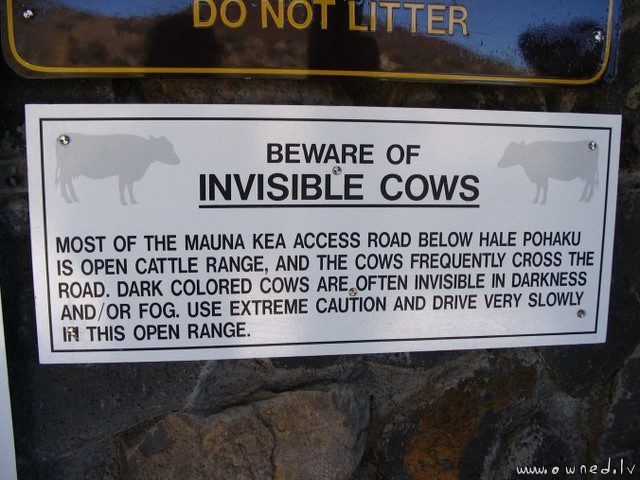 Beware of invisible cows