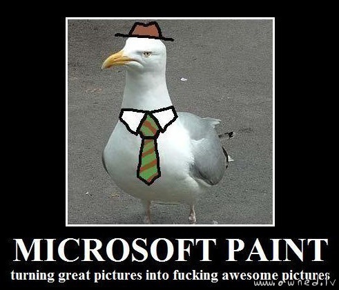 Microsoft paint