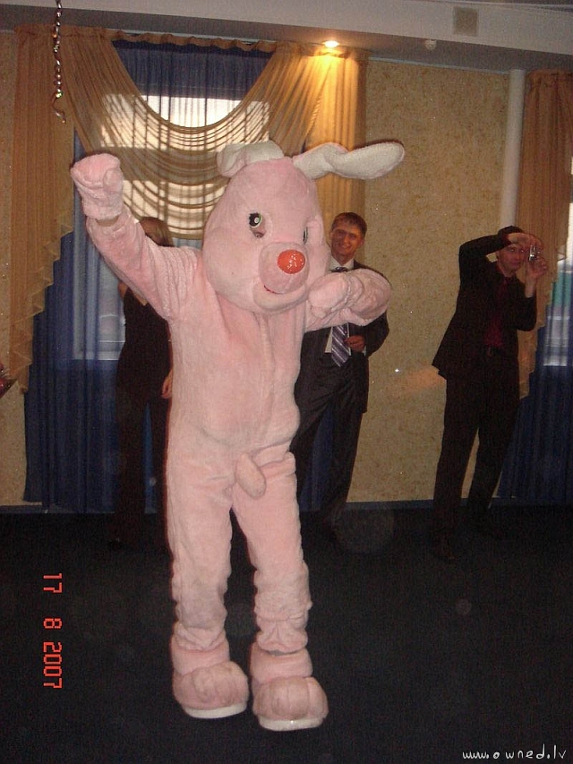 Very detailed rabbit costume