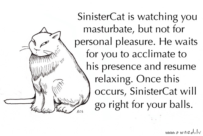 Sinister Cat