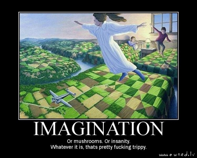 Imagination