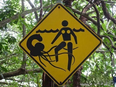 Beware of tentacle monster