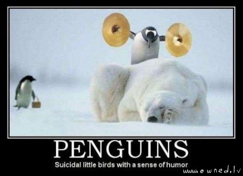 Penguins