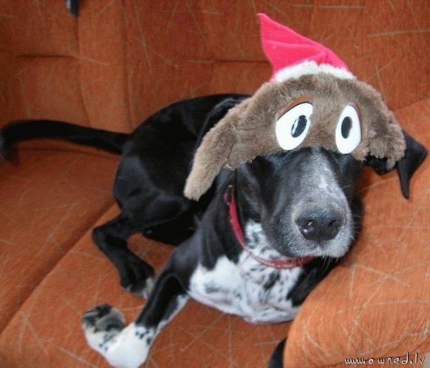 Dog with funny mask