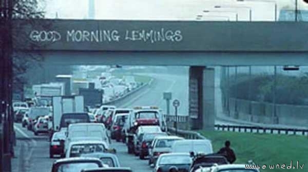 Good morning lemmings