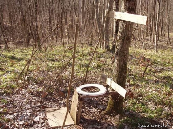 Eco friendly toilet
