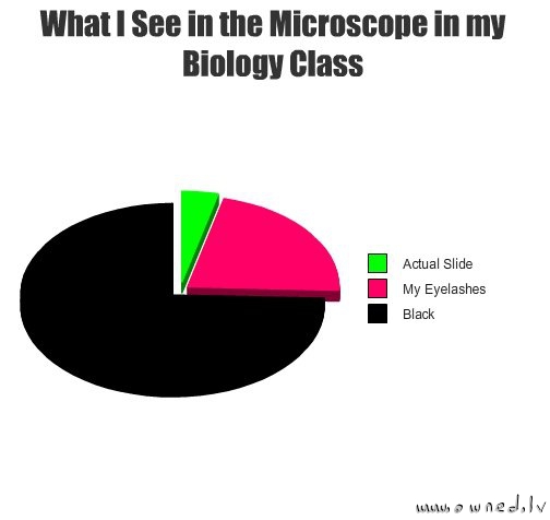 Microscope