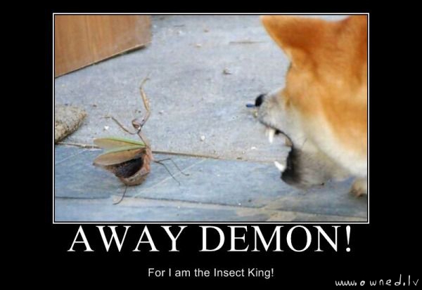 Away demon !