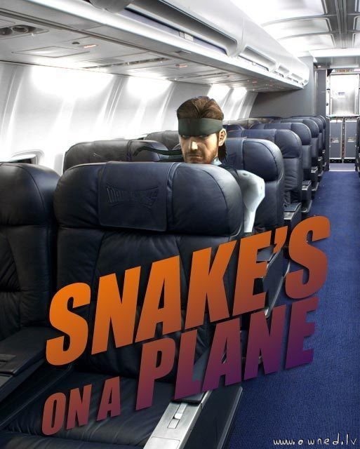 Snakes on a plane