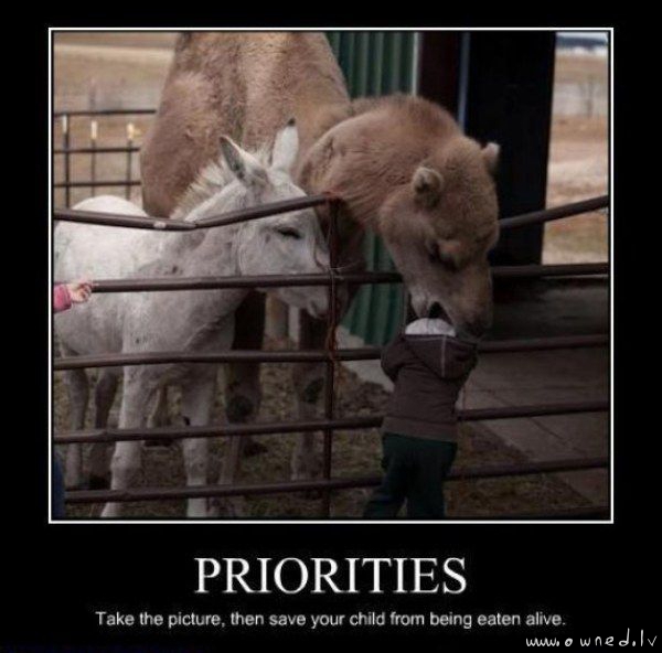 Priorities