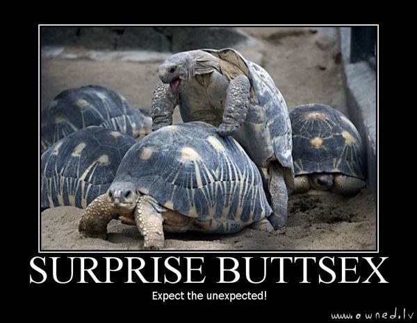 Surprise buttsex