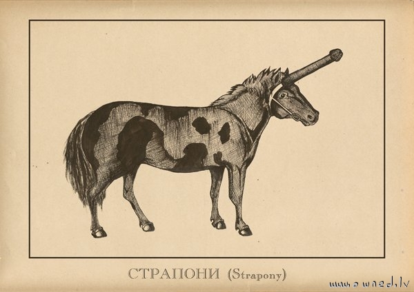 Strapony