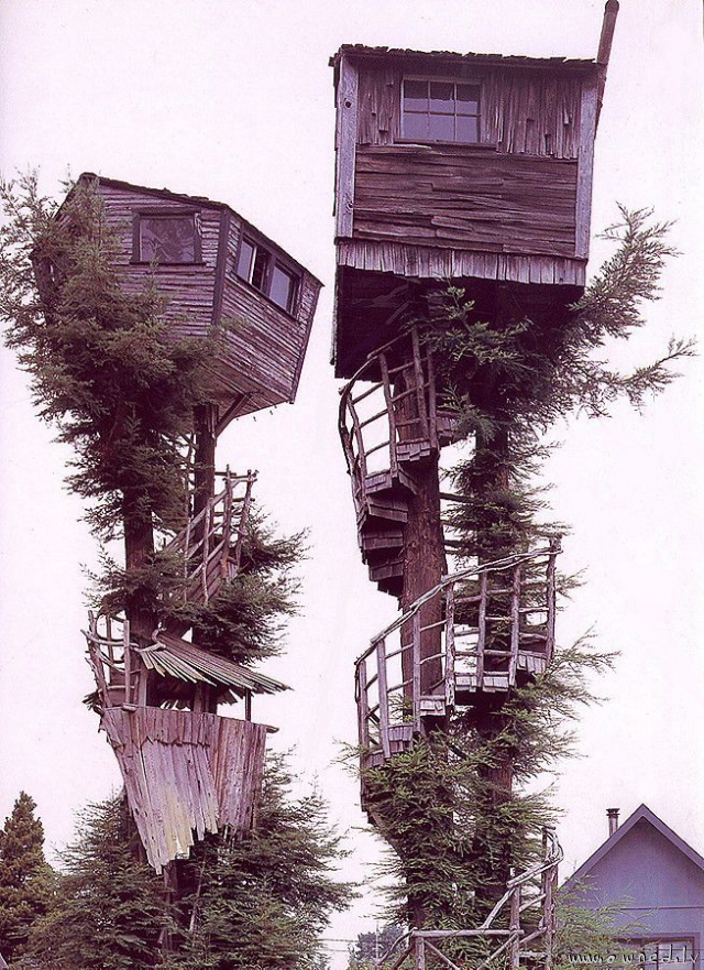 Tree houses