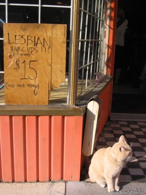 Lesbian haircuts