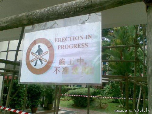 Erection in progress