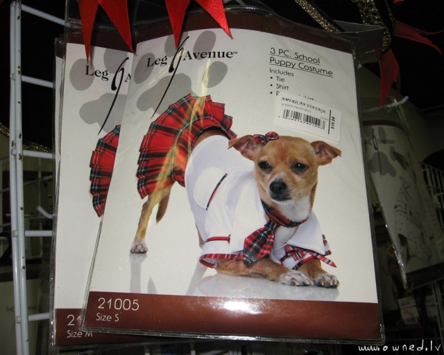 Puppy schoolgirl costume