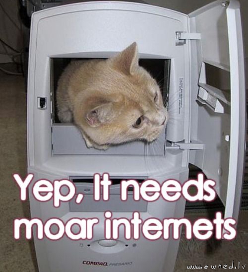 Moar internets