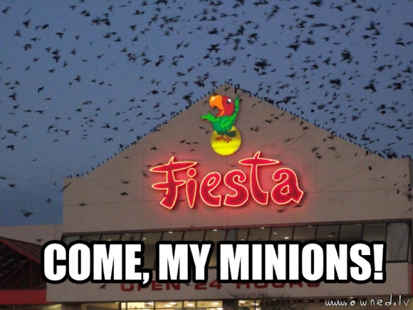 Come my minions