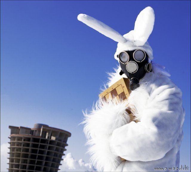 Postnuclear eastern bunny