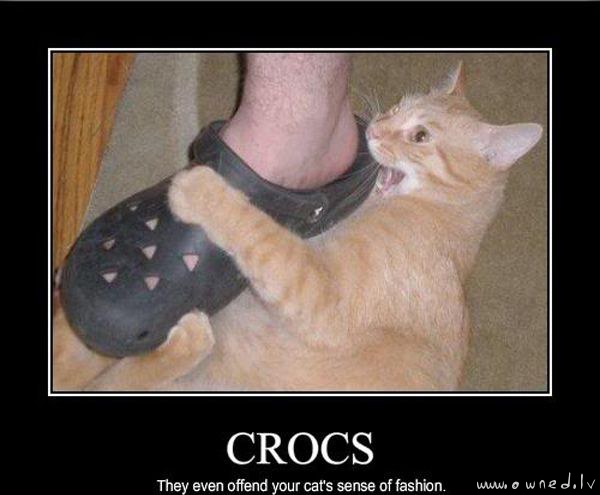 Crocs