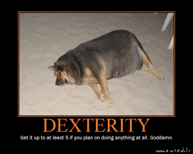 Dexterity