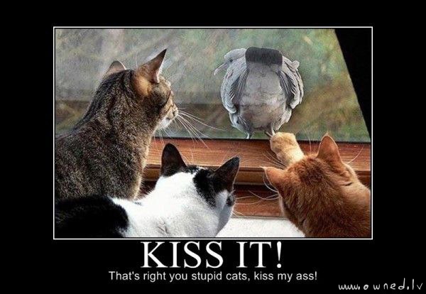 Kiss it !
