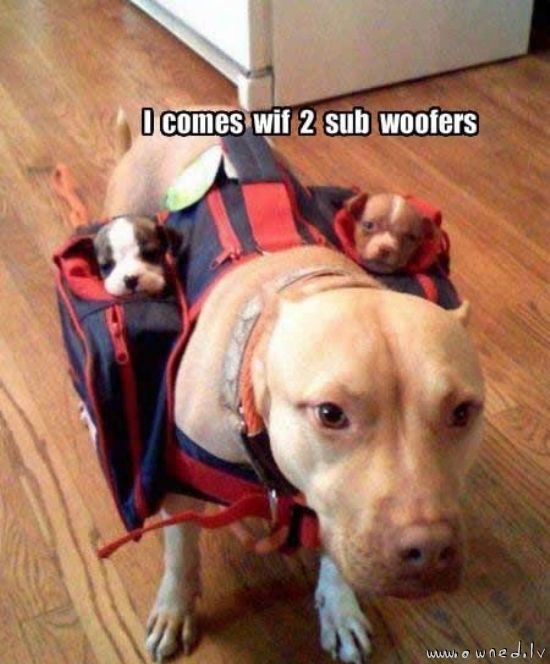 Sub woofers