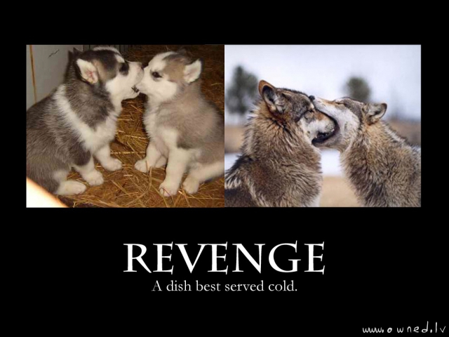 Revenge