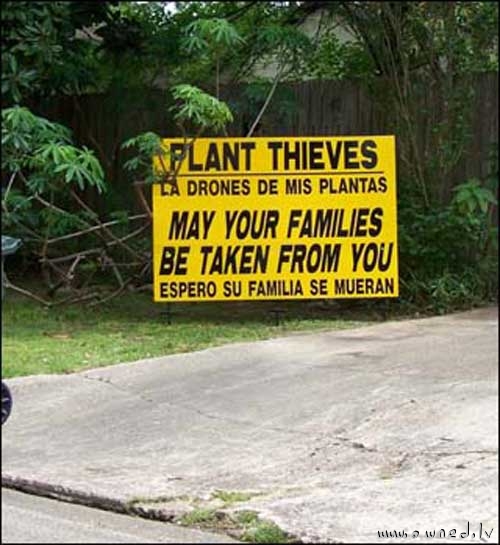 Plant thieves