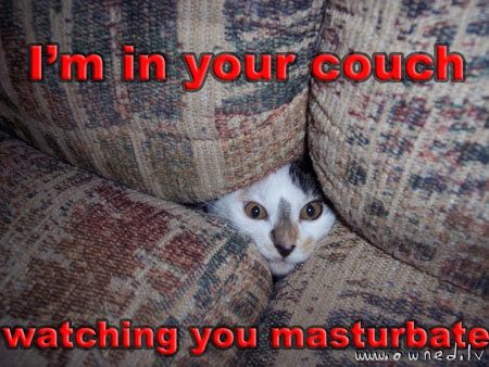 I am in your couch