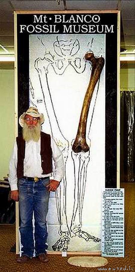 A giant bone