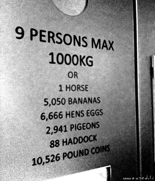 1000 kg max